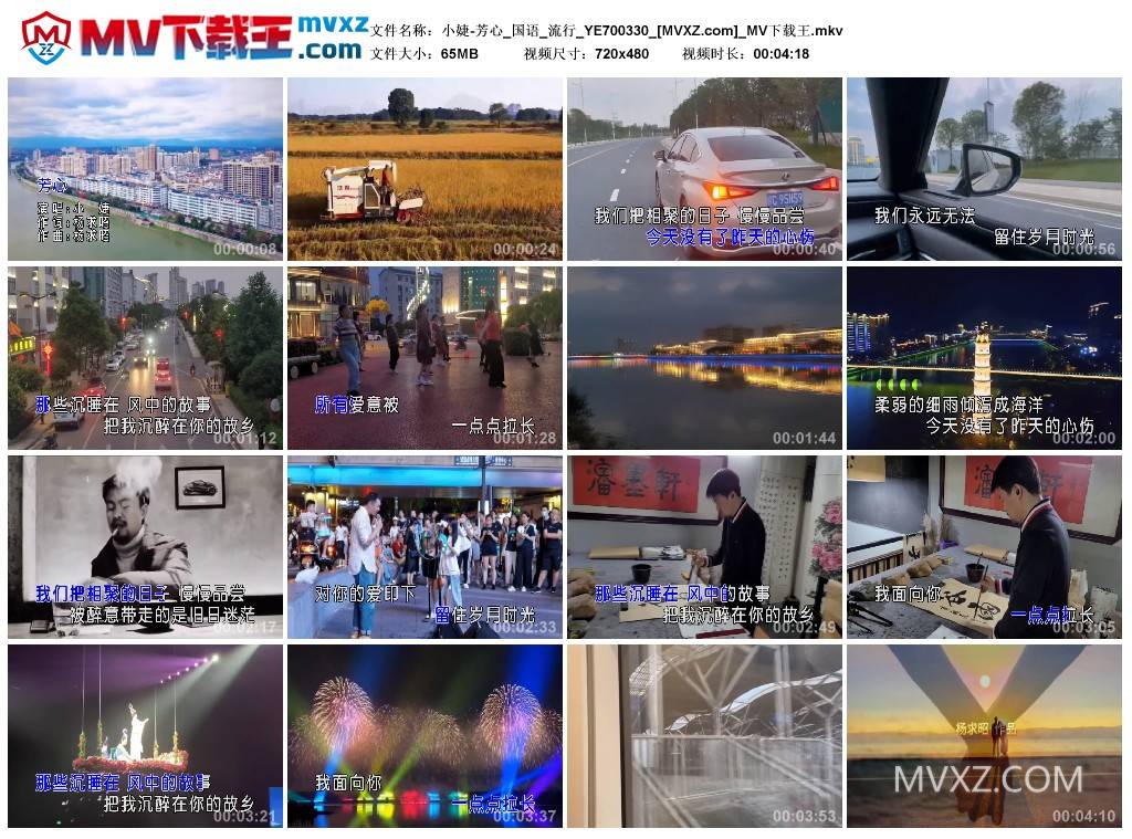 小婕-芳心_国语_流行_YE700330